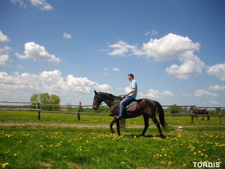 08.05.FamRozal_TORDIS05