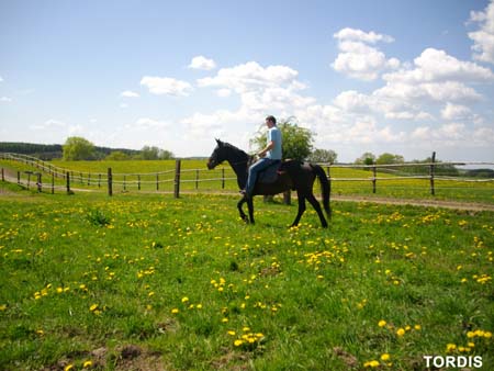 08.05.FamRozal_TORDIS06