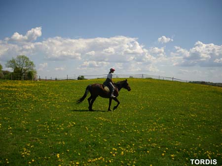 08.05.FamRozal_TORDIS15