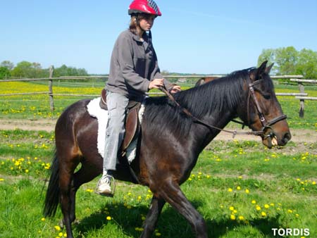 08.05.FamRozal_TORDIS17