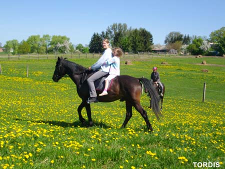 08.05.FamRozal_TORDIS19