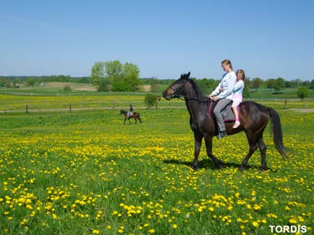 08.05.FamRozal_TORDIS20