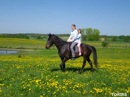 08.05.FamRozal_TORDIS21