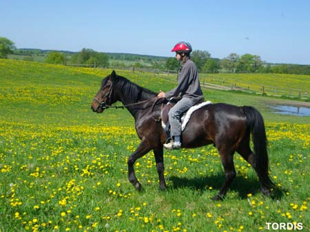 08.05.FamRozal_TORDIS22