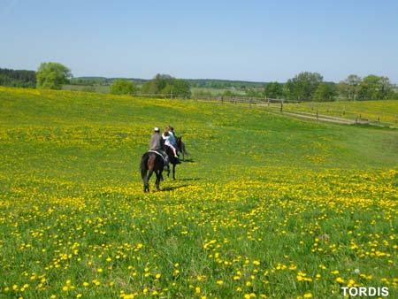 08.05.FamRozal_TORDIS23