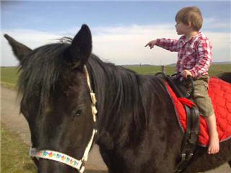 08.05.FrEndmann_Orion02