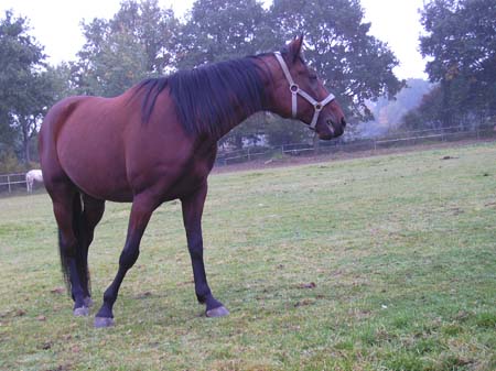 08.12.Freya_Saturn02