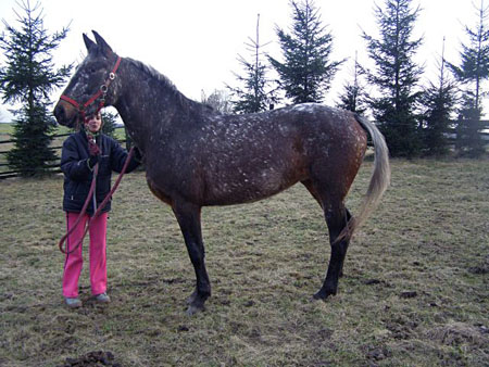 08_02eTORDISMarta_Agava