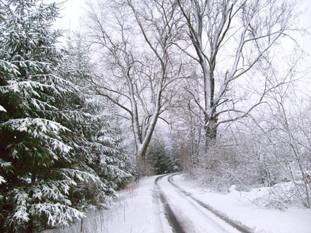 08_03_TORDIS_Easter20