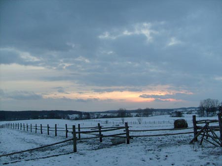 08_03_TORDIS_Easter22