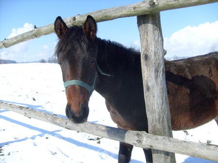 08_03_TORDIS_Easter35