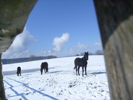 08_03_TORDIS_Easter38