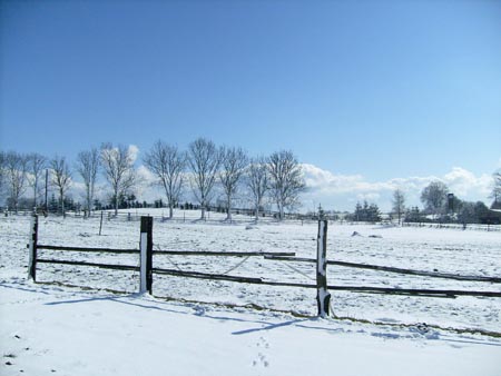 08_03_TORDIS_Easter41