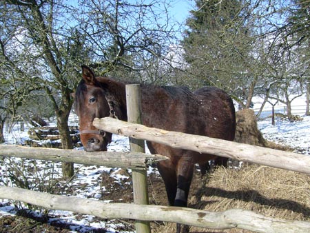 08_03_TORDIS_Easter42