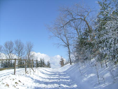 08_03_TORDIS_Easter50