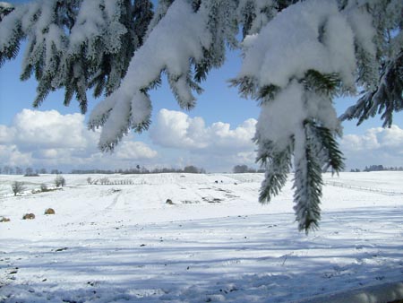 08_03_TORDIS_Easter52