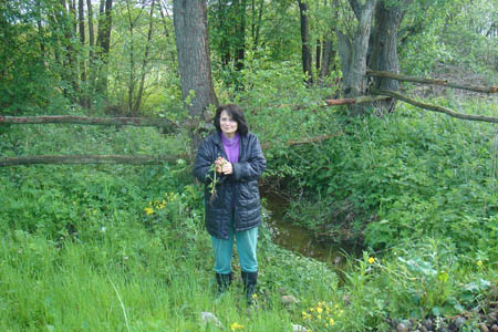 2006FruehlingCopyright#110F