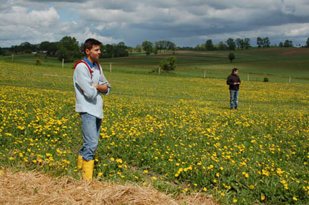 2006FruehlingCopyrights#34C