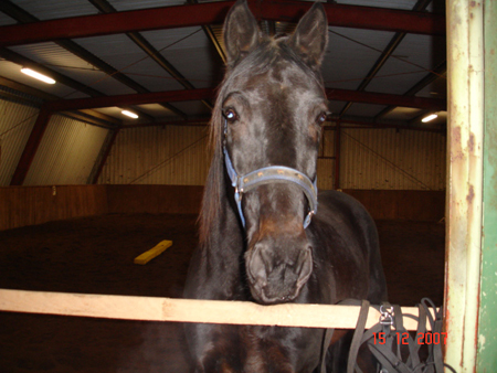 2007Fam.Rozalu.Nemo05