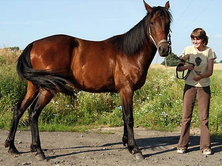 2007TORDISSommerMarta05