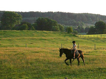 2007TORDISSommerMarta07