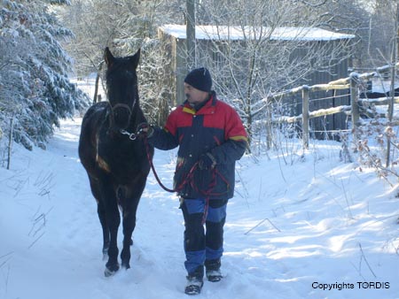2009_01_Tordis_Pferde4