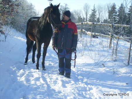 2009_01_Tordis_Pferde5