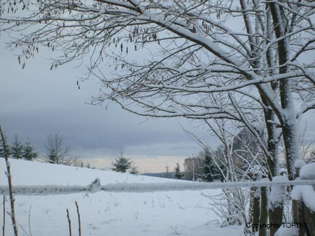 2009_01_Tordis_Winter1