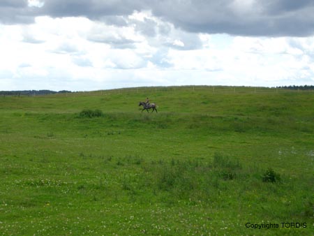 2009_06_Tordis_Agava10