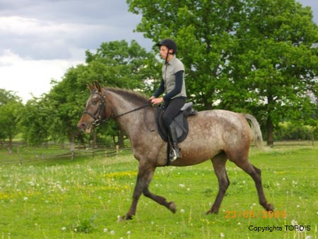 2009_06_Tordis_Agava4