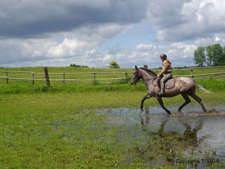 2009_06_Tordis_Agava5