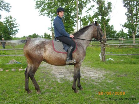 2009_06_Tordis_Agava6