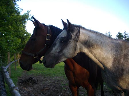 2009_06_Tordis_Baron1