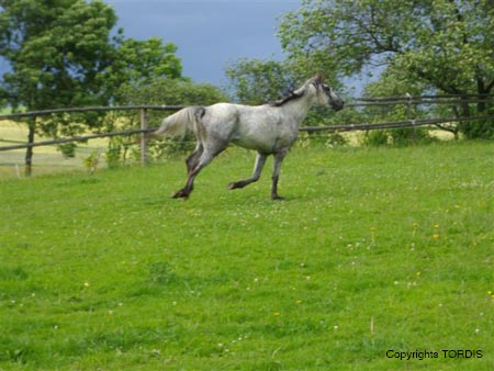 2009_06_Tordis_Baron2