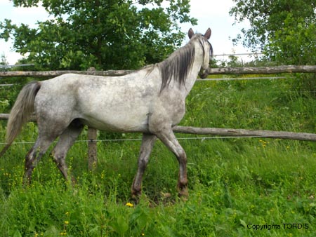 2009_06_Tordis_Baron3