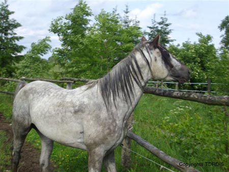 2009_06_Tordis_Baron4