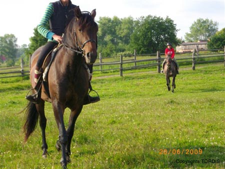 2009_06_Tordis_Bella#7C97F1