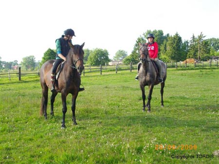 2009_06_Tordis_Bella#7C97F2