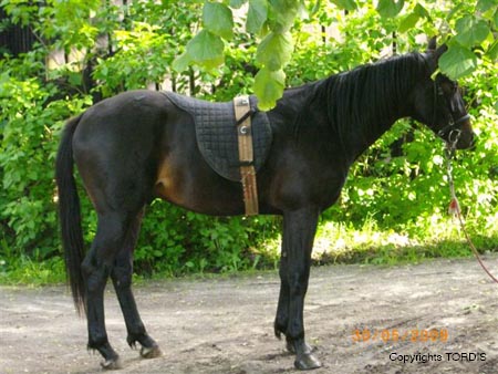 2009_06_Tordis_CantWay3