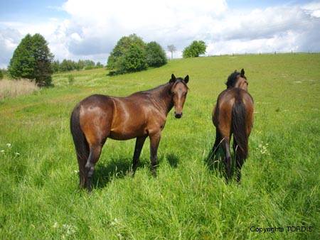 2009_06_Tordis_Connor2