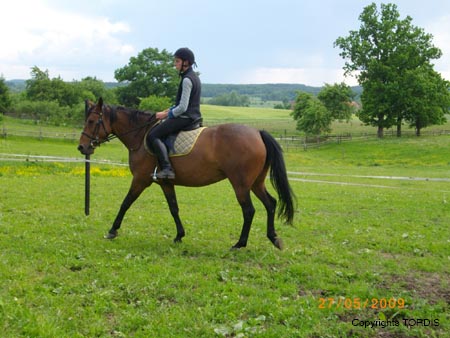 2009_06_Tordis_Viva2