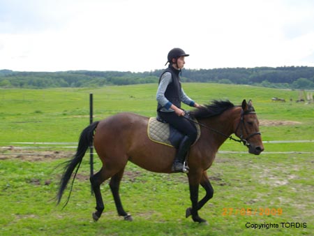 2009_06_Tordis_Viva3