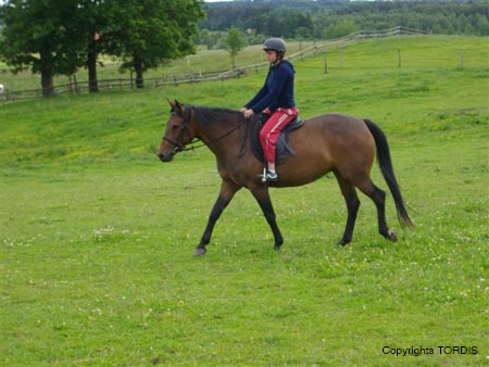 2009_06_Tordis_Viva7