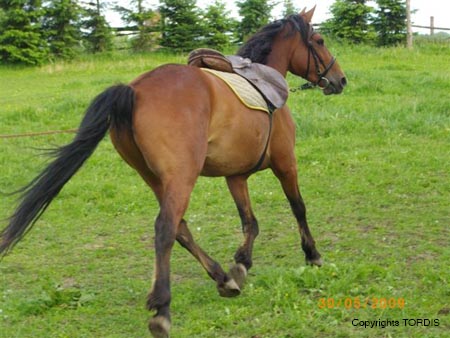 2009_06_Tordis_Zefir1