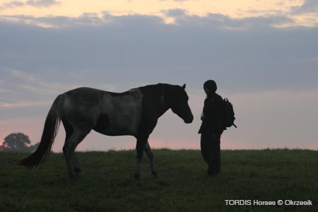 2009_08_Tordis_Horses011
