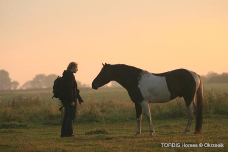 2009_08_Tordis_Horses023