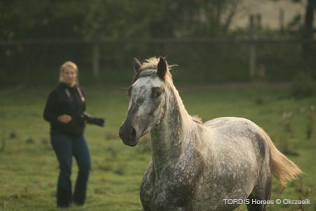 2009_08_Tordis_Horses058