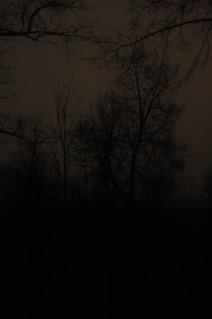 DSC_0478460M.Mroz84kop0011