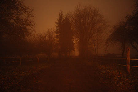 DSC_0512484M.Mroz84kop0014