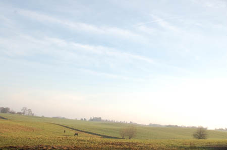 DSC_0607559M.Mroz84kop0017